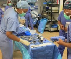 Surgical Assistant Programs in Michigan - Abcott Institute